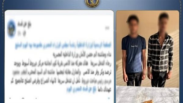 حبس شقيقين بعد نشوب مشاجرة أسفرت عن إصابة بائعين متجولين في أسيوط- نبض مصر