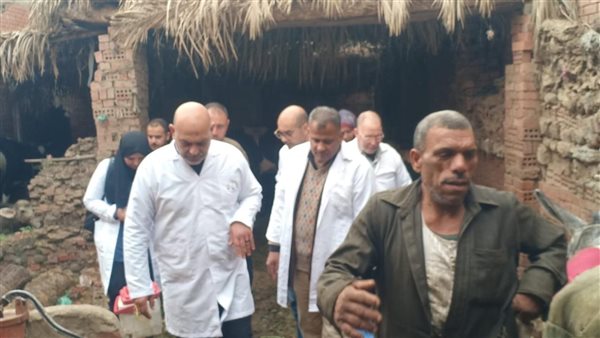 حملة بيطرية مكثفة بالقليوبية لتحصين الماشية.. وضبط 5.5 طن لحوم فاسدة بالخانكة