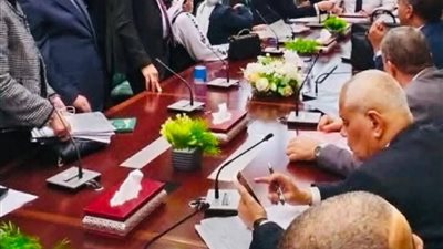 خلاف أم سوء فهم؟.. نواب يفندون رواية طارق عبد العزيز بشأن واقعة وزير الصحة- نبض مصر