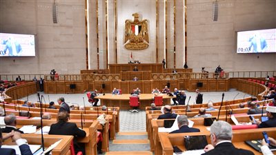 دعم الحماية الاجتماعية أولوية والتوسع في الخدمات ضرورة والحساب الختامي مرآة حقيقية لأداء الحكومة- نبض مصر