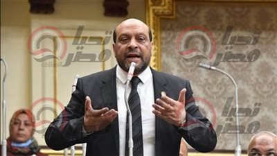 دعم المشروعات الخاصة وتوسيع الشراكات الاقتصادية ضرورة لتحفيز النمو- نبض مصر