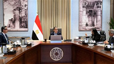 رئيس الوزراء يتابع جهود حوكمة منظومات الدعم والحماية الاجتماعية- نبض مصر