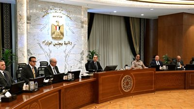 رئيس الوزراء يترأس الاجتماع الأسبوعي للحكومة- نبض مصر