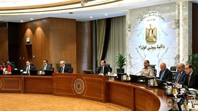 رئيس الوزراء يشدد على ضرورة اتخاذ جميع التدابير اللازمة لتوفير السلع الاستهلاكية الأساسية- نبض مصر