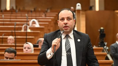 ربط المعاشات بالتضخم ضرورة لحماية المواطنين من غلاء الأسعار- نبض مصر