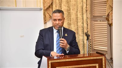زيارة الرئيس السيسي للإمارات تؤكد أن أمن الخليج جزء لا يتجزأ من الأمن القومي المصري- نبض مصر