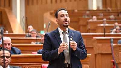 زيارة الرئيس السيسي للإمارات تجسد وحدة الصف العربي وترسل رسالة ردع حاسمة ضد تهديد أمن الخليج- نبض مصر