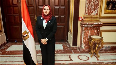 زيارة الرئيس السيسي للإمارات تجسد وحدة الصف العربي ورسالة حاسمة لحماية أمن المنطقة- نبض مصر