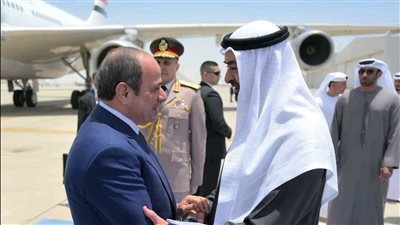 زيارة الرئيس السيسي للإمارات تعكس قوة التحالف العربي وتؤكد مكانة مصر المحورية في المنطقة- نبض مصر