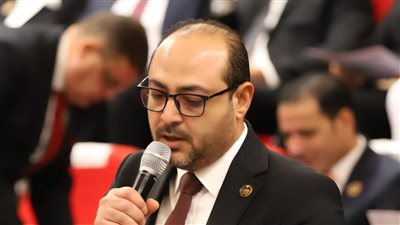 زيارة الرئيس السيسي للإمارات رسالة حاسمة برفض تهديد أمن الخليج- نبض مصر