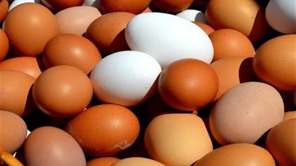 سعر كرتونة البيض اليوم السبت 9 مايو 2026 للمستهلك.. الأبيض يبدأ من 115 جنيهًا- نبض مصر