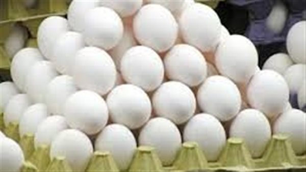 سعر كرتونة البيض في مصر اليوم الأحد 3 مايو 2026 وتحديثات السوق