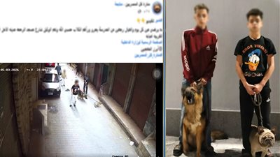ضبط طالبين يروعان الأطفال بالكلاب في المنيرة الغربية بالجيزة- نبض مصر