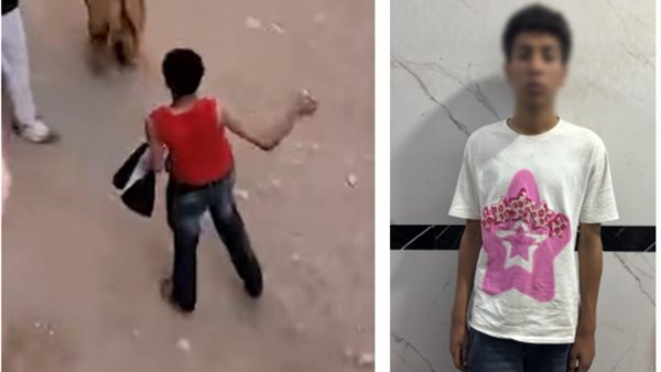 ضبط عاطل بتهمة الإمساك بسلاح أبيض وإلقاء حجارة على آخر بالقاهرة