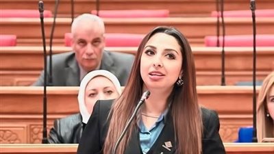 طلب إحاطة عاجل بشأن تحميل موظفي “النيل للمجمعات” فروقًا مالية ضخمة- نبض مصر