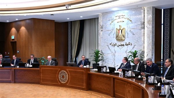 عاجل.. العمل عن بعد.. هل تلجأ الحكومة لتطبيق يومين بدلاً من يوم واحد ؟- نبض مصر
