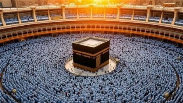 عاجل.. انطلاق أول أفواج حجاج الجمعيات الأهلية بـ 5 محافظات للمدينة المنورة- نبض مصر