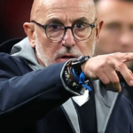 قائمة دي لا فوينتي تهدد غياب لاعبي ريال مدريد عن المونديال