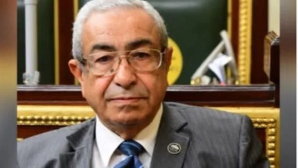 قانون الأحوال الشخصية للمسيحيين حل 90% من الأزمات الأسرية.. فيديو- نبض مصر