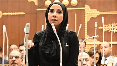 قبل ماراثون الثانوية العامة.. “الشيوخ” يناقش طلب ولاء هرماس بشأن مواجهة الغش الجماعي الاثنين المقبل- نبض مصر