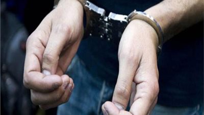 “قناص الإسكندرية” في قبضة الأمن.. طبيبة بيطرية تكشف تفاصيل قتل قطط ببندقية ضغط هواء- نبض مصر