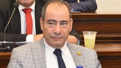 لقاء السيسي رئيس بنك التنمية الأفريقي يعزز الشراكة الاقتصادية ويدعم رؤية مصر 2030 والتكامل القاري- نبض مصر