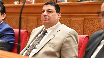 لقاء السيسي وغوتيريش يعكس ثقل مصر الدولي ودورها المحوري في دعم استقرار المنطقة- نبض مصر