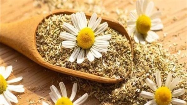 ليس كل ما هو طبيعي آمن.. والاستخدام العشوائي للأعشاب خطر على الصحة- نبض مصر