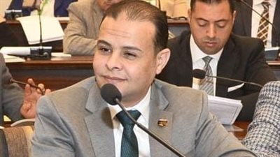 مدحت الكمار: قرارات الرئيس السيسي في عيد العمال تعزز الحماية الاجتماعية وتدعم دمج العمالة غير المنتظمة