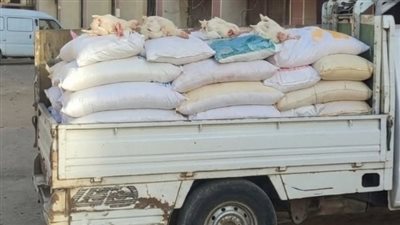 مديرية تموين الفيوم تضبط 2.95 طن دجاج نافق قبل وصولها إلى مصنع مصنعات لحوم شهير- نبض مصر