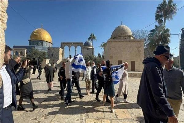 مستعمرون يقتحمون المسجد الأقصى ويؤدون طقوسا تلمودية- نبض مصر