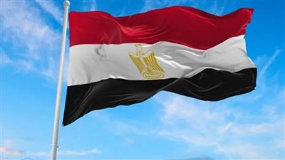 مصر تعلن تضامنها الكامل مع الإمارات وتدعم كافة إجراءات حماية سيادتها- نبض مصر