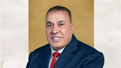 مصر تقف بقوة إلى جانب أشقائها- نبض مصر