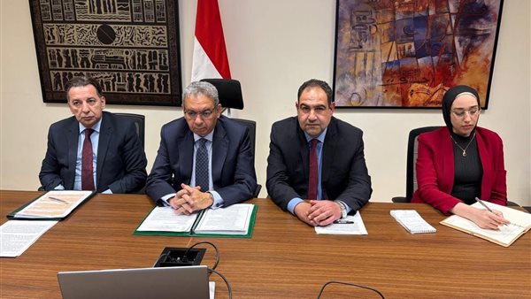 مصر والإكوادور تبحثان تعزيز التعاون الاقتصادي والسياسي في جولة مشاورات افتراضية- نبض مصر