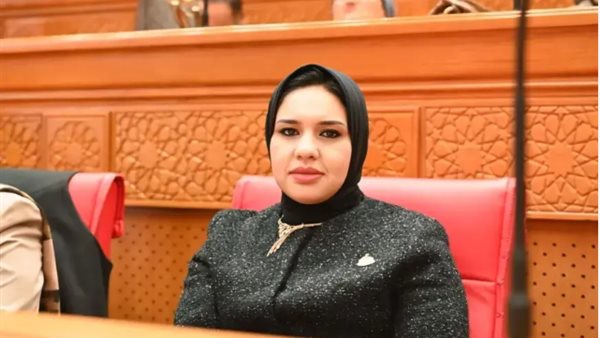مصلحة الطفل فوق نزاع الأبوين.. وأرفض مصطلح “الاستضافة” وتجربة الزواج لـ 6 أشهر- نبض مصر
