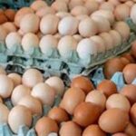 مفاجآت جديدة.. سعر كرتونة البيض اليوم للمستهلك 3 مايو 2026