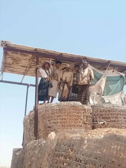 المعسكر