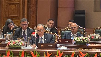 «من قلب نيودلهي».. وزير الخارجية يطرح رؤية مصر لمواجهة الأزمات الدولية أمام بريكس- نبض مصر