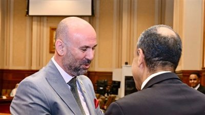 مناقشات موسعة لأداء الدبلوماسية المصرية بحضور وزير الخارجية في مجلس الشيوخ- نبض مصر