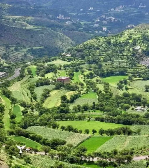 حيسان