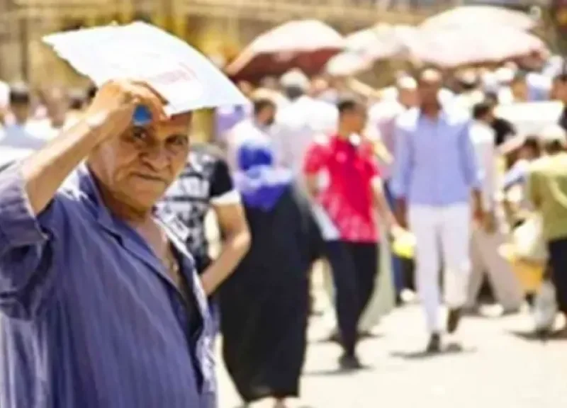 مواطنو عدن يشتكون تدهور الكهرباء وسط موجة حر شديدة.. ويطالبون بالتدخل العاجل- نبض مصر