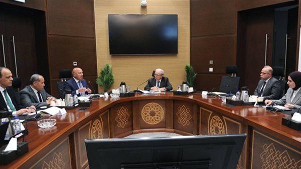 نائب رئيس الوزراء يستعرض مع وزير النقل مشروع القطار الكهربائي السريع