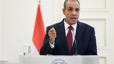 نتضامن مع الإمارات ونقف يجانبها في هذا الظرف الدقيق- نبض مصر