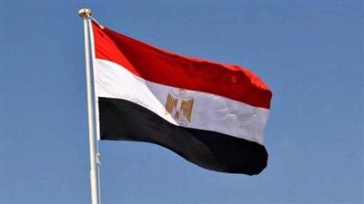 ندين بشدة استهداف ناقلة نفط إماراتية في مضيق هرمز- نبض مصر