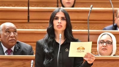 هايدي المغازي تطالب بتقييم نتائج مبادرة افتح حسابك في مصر قبل التوسع في مرحلتها الثانية- نبض مصر