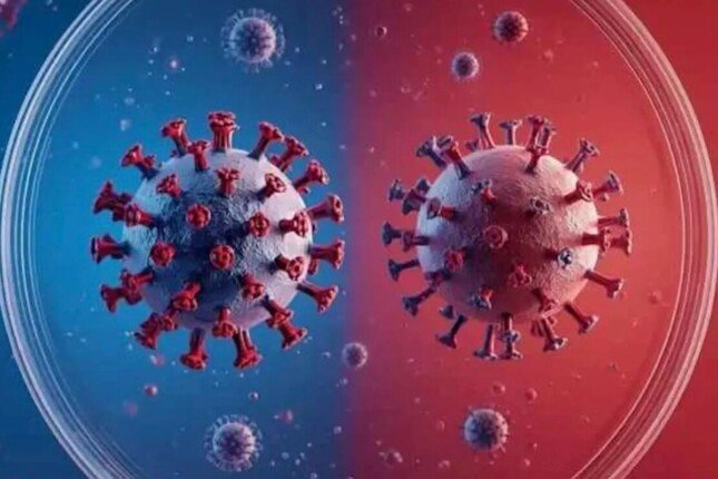 هولندا تفرض الحجر الصحي على 12 من الطاقم الطبي بعد التعامل مع مريض بـ«فيروس هانتا»- نبض مصر