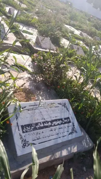 والدة مرسال عيدروس تستصرخ العدالة وتطالب بإنصاف ابنها- نبض مصر