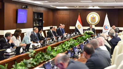 وزير الصحة يترأس اجتماعاً رفيعاً مع الرابطة الدولية لمكافحة الصرع لوضع استراتيجية وطنية شاملة- نبض مصر