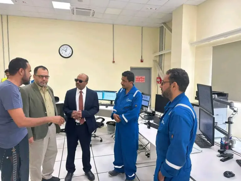 وزيرا الكهرباء والنفط يتفقدان محطة بترومسيلة بعد عطل فني أخرجها عن الخدمة- نبض مصر